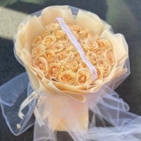 Ӣʻٵ